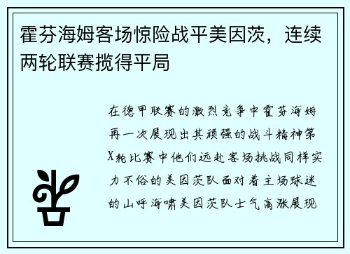 霍芬海姆客场惊险战平美因茨，连续两轮联赛揽得平局